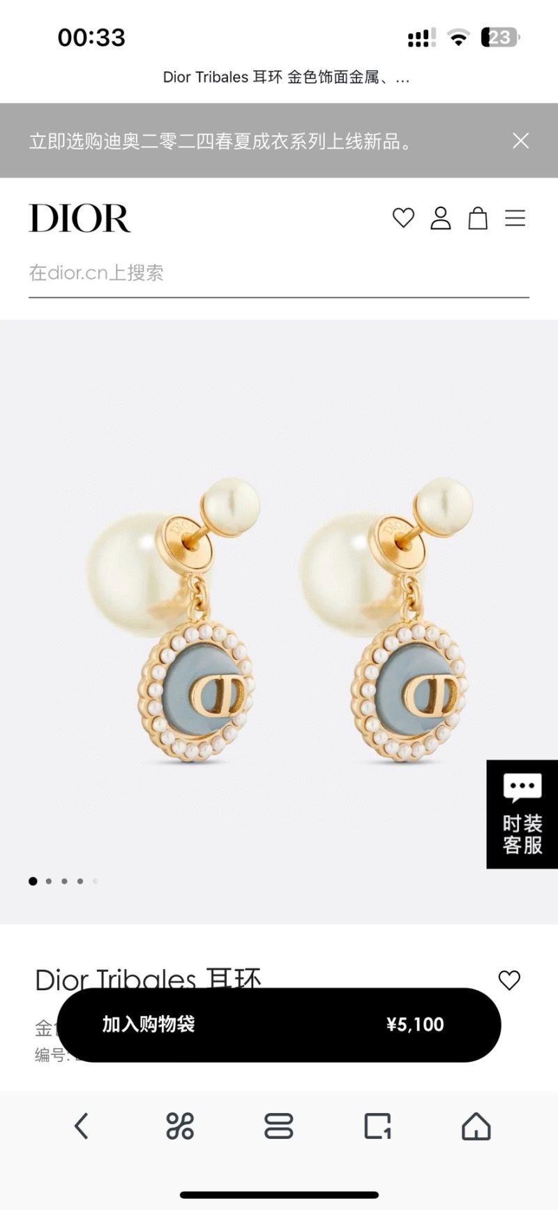 chr1st1an D10r earrings